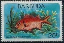 Blackbar Soldierfish (Myripristis jacobus)