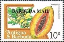 Pawpaw (Asimina triloba) - Overprinted