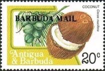 Coconut (Cocos nucifera) - Overprinted