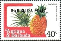 Pineapple (Ananas comosus) - Overprinted