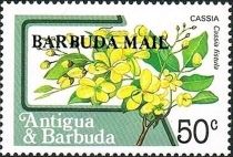 Cassia (Cassia fistula) - Overprinted