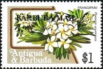 Frangipani (Plumeria acumioata) - Overprinted