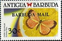 Fiery Sulphur (Eurema pyro) - Overprinted