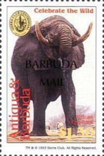 African Elephant (Loxodonta africana) - Overprinted