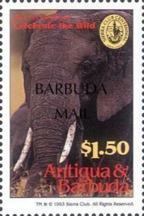 African Elephant (Loxodonta africana) - Overprinted