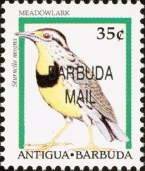 Meadowlark (Sturnella magna) - Overprinted