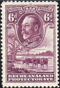 George V, Cattle (Bos primigenius taurus)