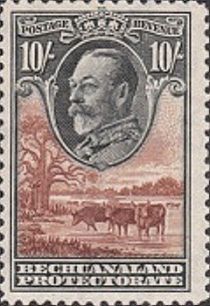 George V, Cattle (Bos primigenius taurus)