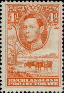 George VI, Cattle (Bos primigenius taurus)