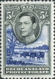 George VI, Cattle (Bos primigenius taurus)