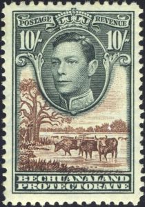 George VI, Cattle (Bos primigenius taurus)