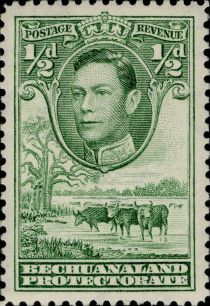 George VI, Cattle (Bos primigenius taurus)