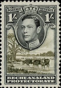 George VI, Cattle (Bos primigenius taurus)