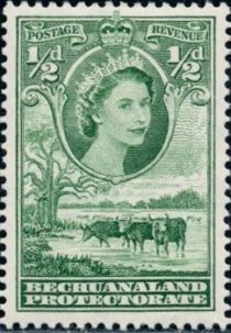 Queen Elizabeth II, Cattle (Bos primigenius taurus)