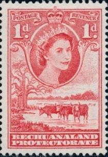 Queen Elizabeth II, Cattle (Bos primigenius taurus)