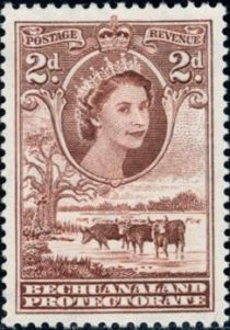 Queen Elizabeth II, Cattle (Bos primigenius taurus)