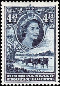 Queen Elizabeth II, Cattle (Bos primigenius taurus)