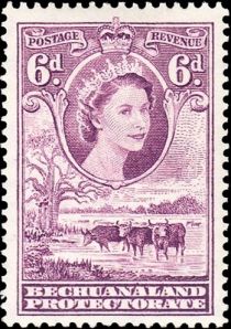 Queen Elizabeth II, Cattle (Bos primigenius taurus)