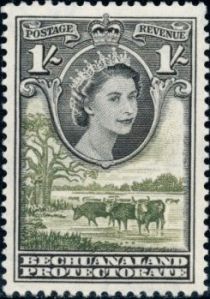 Queen Elizabeth II, Cattle (Bos primigenius taurus)