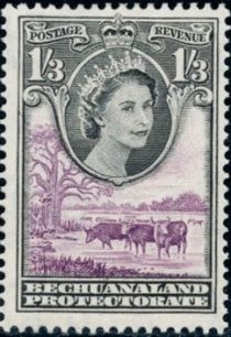 Queen Elizabeth II, Cattle (Bos primigenius taurus)