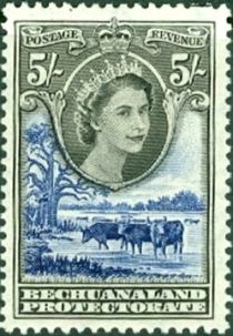 Queen Elizabeth II, Cattle (Bos primigenius taurus)