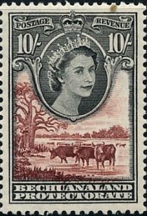 Queen Elizabeth II, Cattle (Bos primigenius taurus)