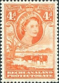 Queen Elizabeth II, Cattle (Bos primigenius taurus)