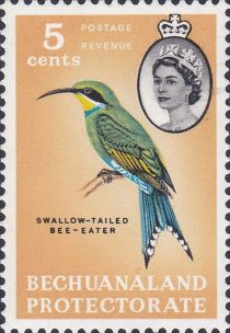 Swallow-tailed Bee-eater (Merops hirundineus)