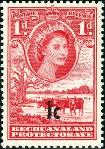 Queen Elizabeth II, Cattle (Bos primigenius taurus)