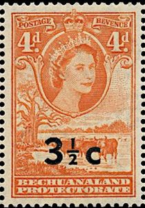 Queen Elizabeth II, Cattle (Bos primigenius taurus)