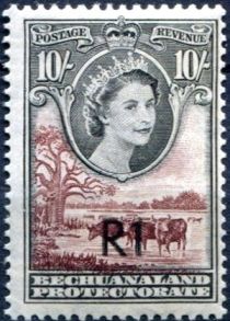 Queen Elizabeth II, Cattle (Bos primigenius taurus)