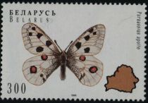 Apollo (Parnassius apollo)