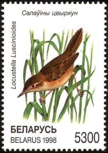 Savi's Warbler (Locustella luscinioides)