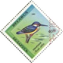 Common Kingfisher (Alcedo atthis) - Surcharge and Overprint