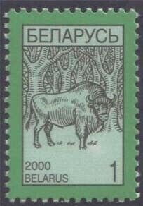 European Bison (Bos bonasus)