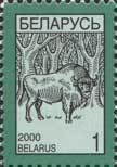 European Bison (Bos bonasus)