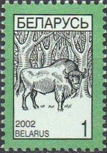 European Bison (Bos bonasus)