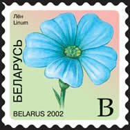 Flax (Linum)