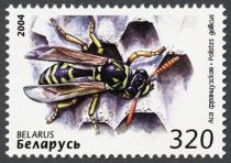 European Paper Wasp (Polistes gallicus)