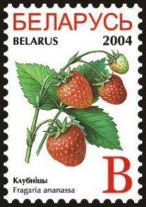 Garden Strawberries (Fragaria ananassa)