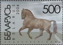 Andalusian Horse (Equus ferus caballus)