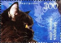 Persian Black (Felis silvestris catus)