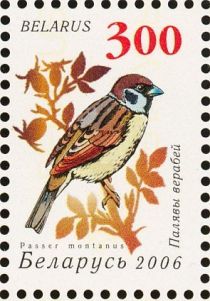 Eurasian Tree Sparrow (Passer montanus)