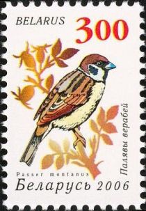 Eurasian Tree Sparrow (Passer montanus)