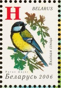 Great Tit (Parus major)