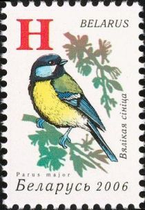 Great Tit (Parus major)