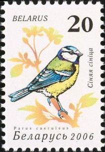 Blue Tit (Parus caeruleus)