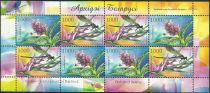 Flora of Belarus - Orchids (2006)