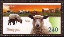 Domestic Sheep (Ovis ammon aries)