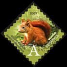 Eurasian Red Squirrel (Sciurus vulgaris)